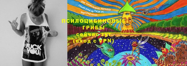 2c-b Алексин