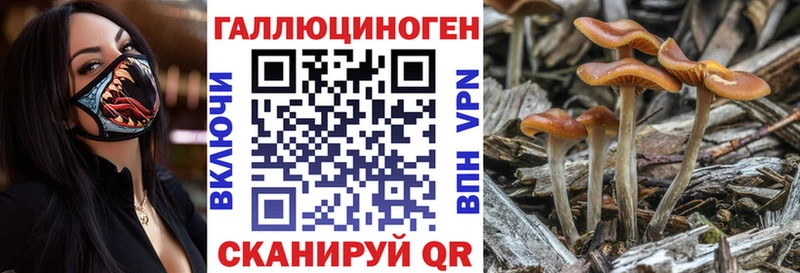 Псилоцибиновые грибы Cubensis  мега сайт  Рыбное 
